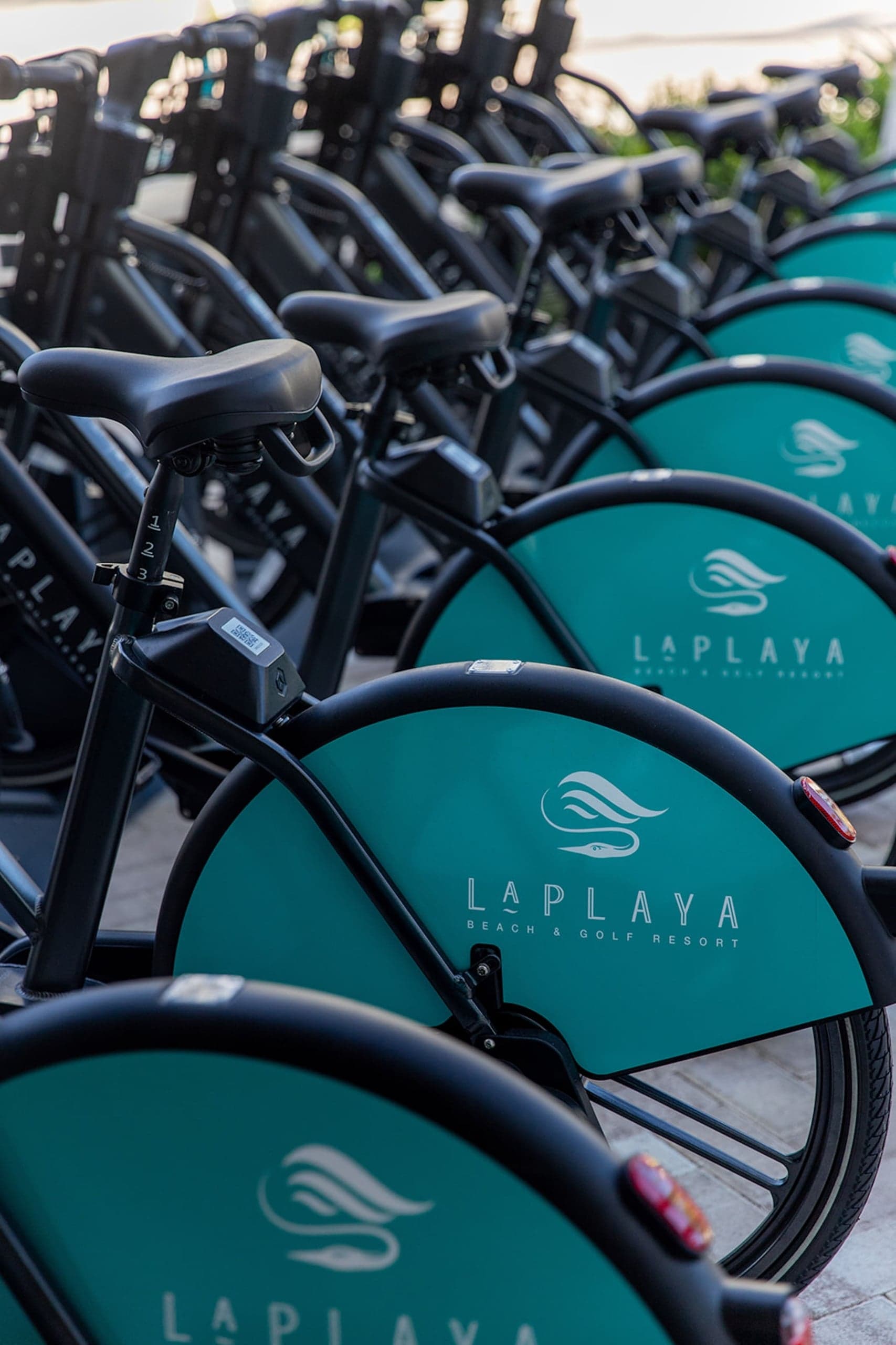 Cruiser Bikes lined up at LaPlaya