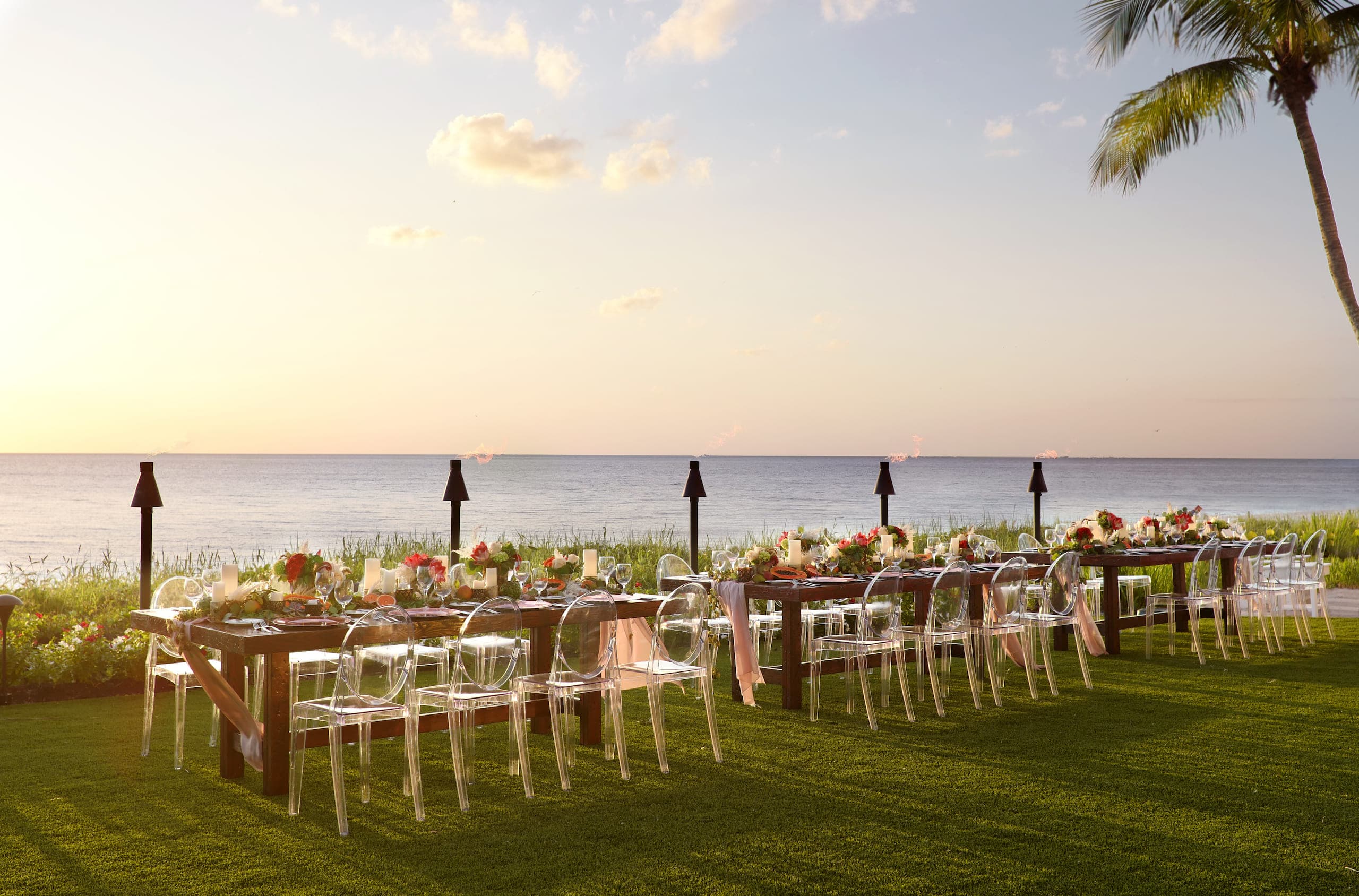 Laplaya Gather on the lawn beside the beach
