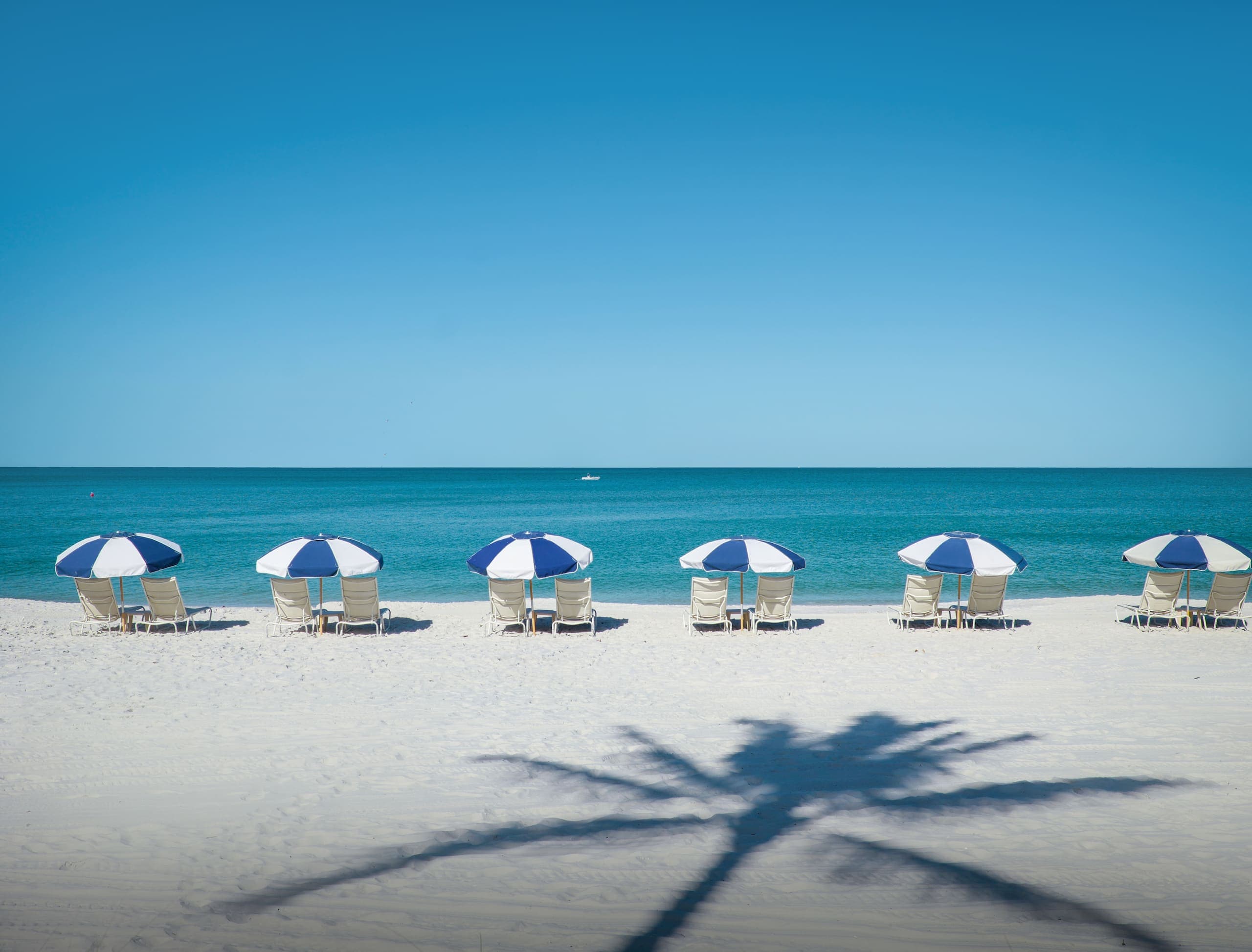 A row of beach umbrellas and chairs in front of the water