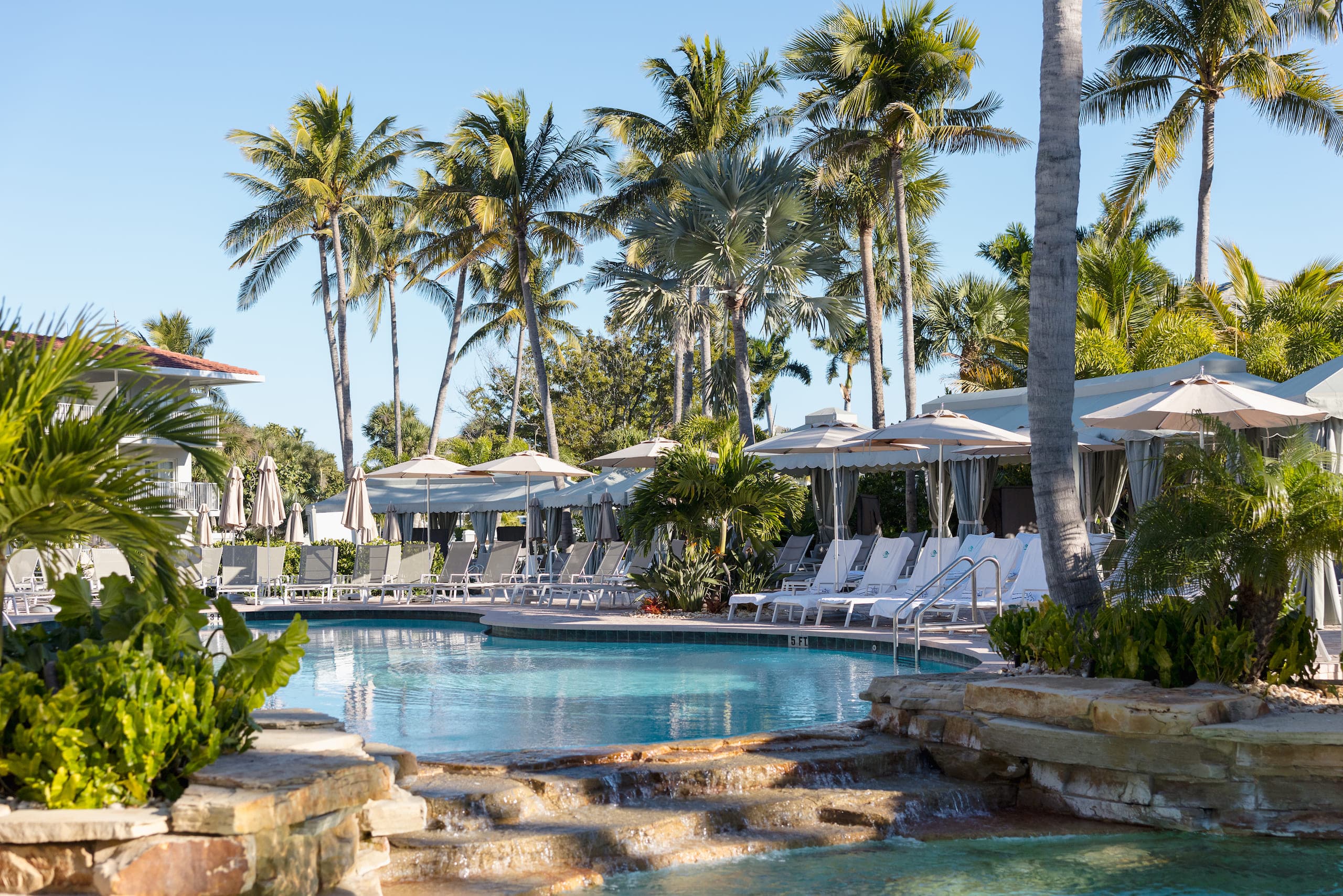 LaPlaya pool surrounded by palm trees and cabanas