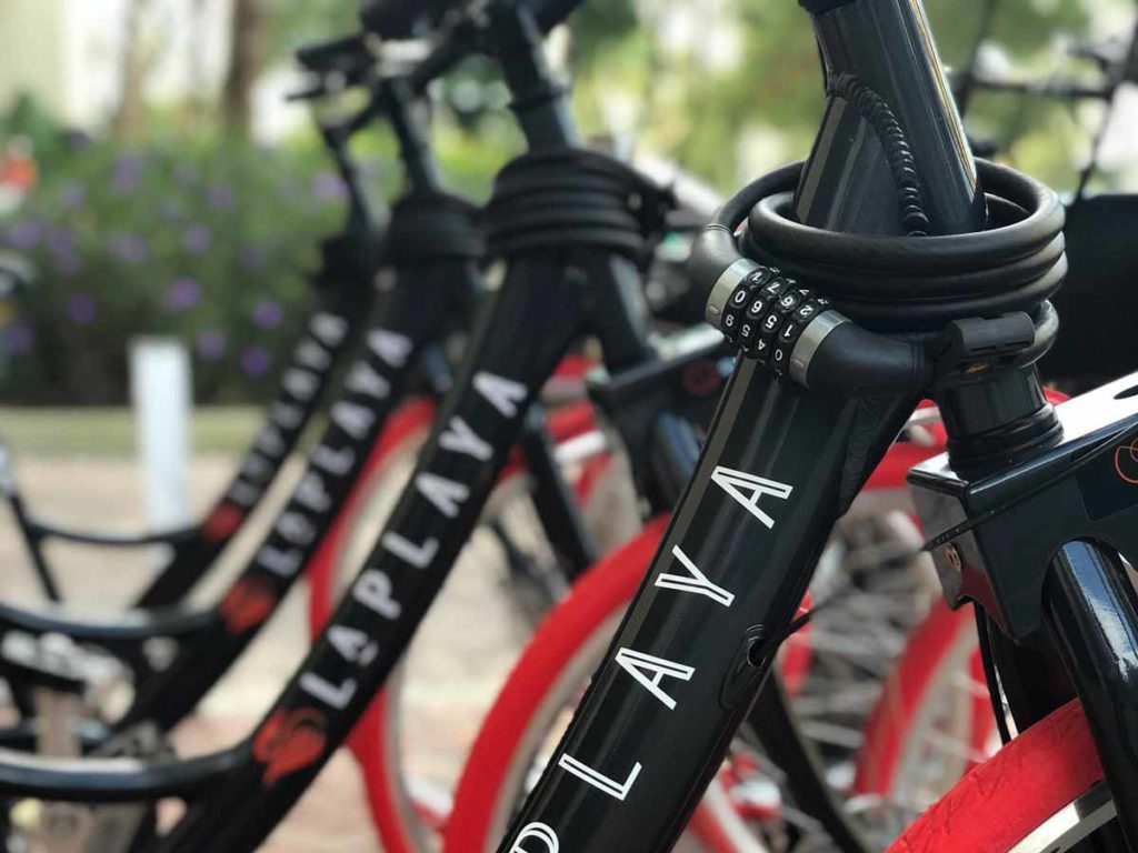 LaPlaya brand cruiser bikes.