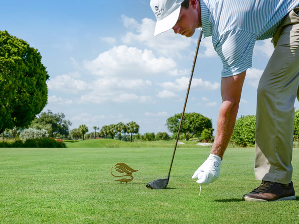 Golfer At Laplaya